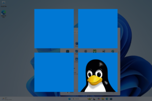 Obrázok článku: Linux vo Windowse: Ako Microsoft prijal svojho najväčšieho rivala