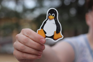 Obrázok článku: Linux: Čo to je a prečo by vás mal zaujímať?